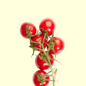 Tomates cerise