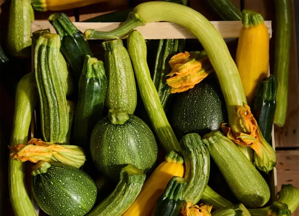 courgettes cageot